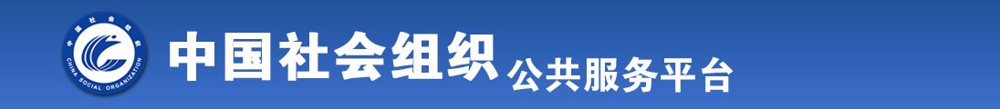 骚货在线全国社会组织信息查询